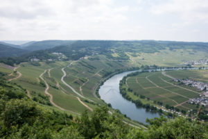 trier4
